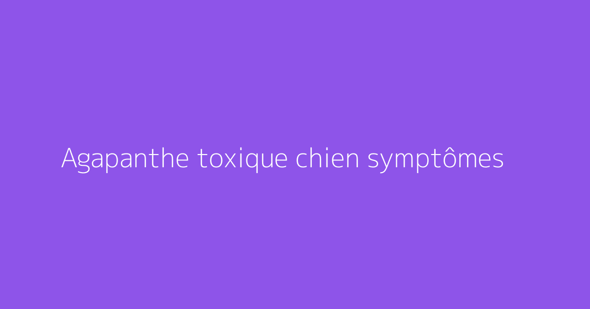 Agapanthe toxique chien symptômes