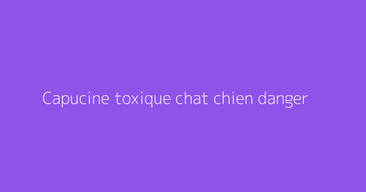 Capucine toxique chat chien danger