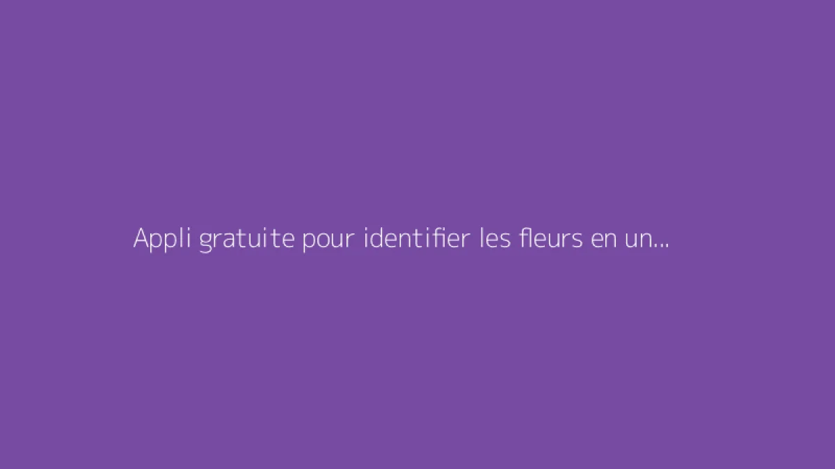 Appli gratuite pour identifier les fleurs en un instant