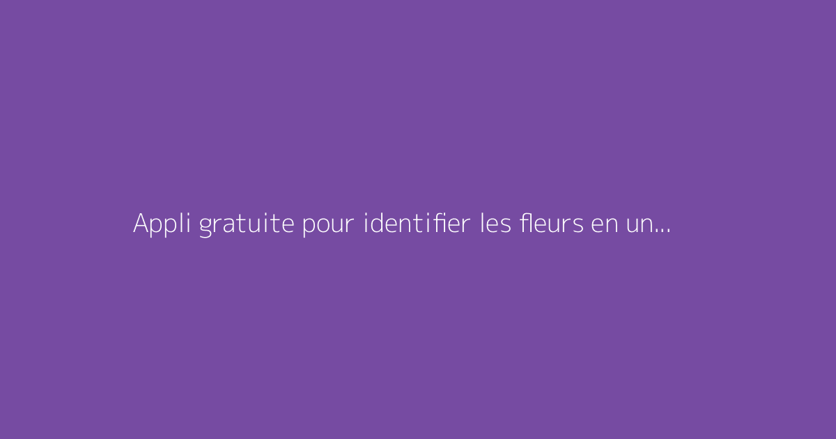 Appli gratuite pour identifier les fleurs en un instant