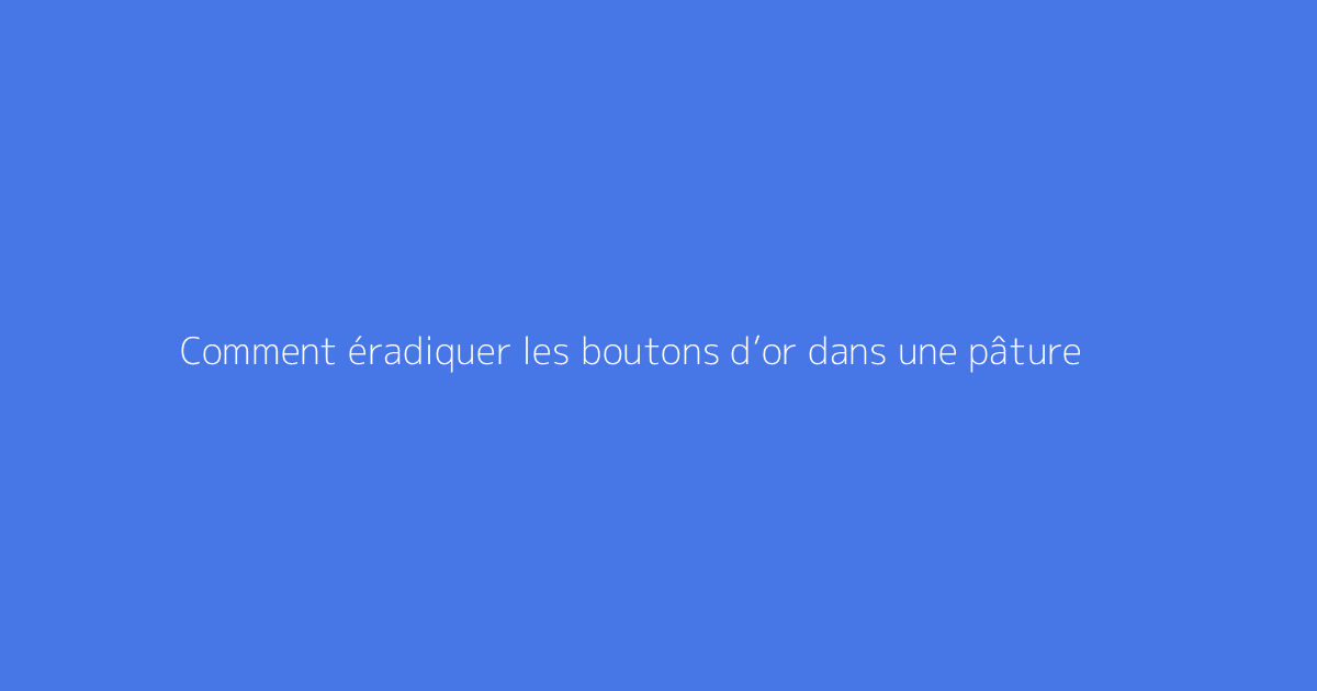 Comment éradiquer les boutons d’or dans une pâture