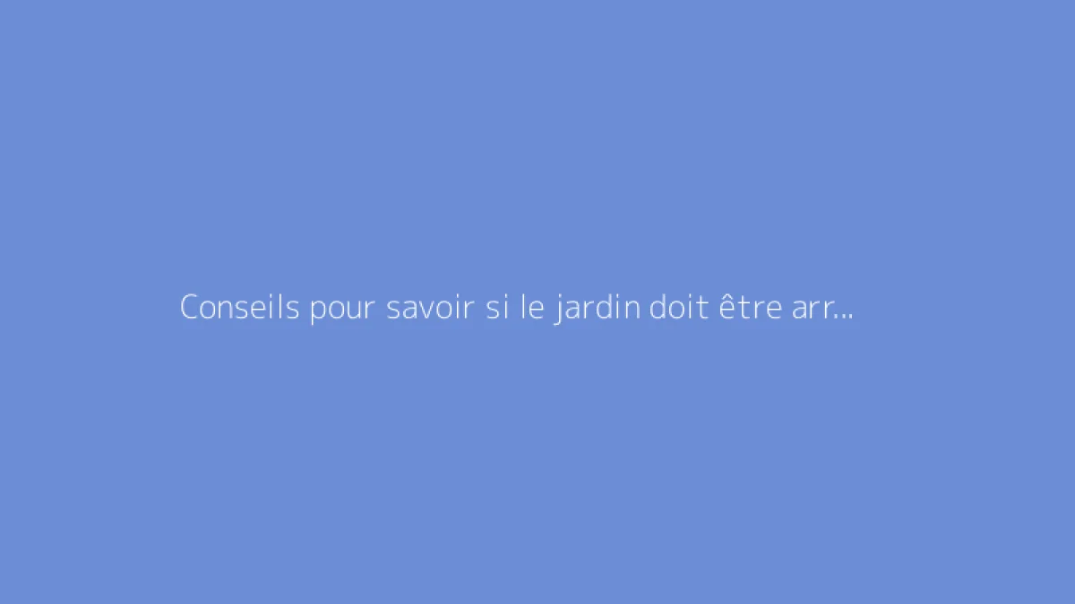 Conseils pour savoir si le jardin doit être arrosé chaque jour
