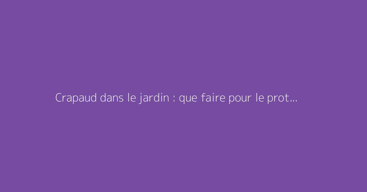 Crapaud dans le jardin : que faire pour le protéger