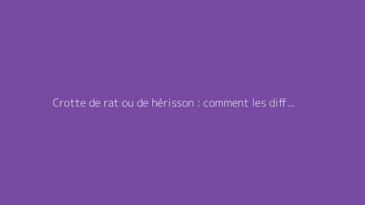 Crotte de rat ou de hérisson : comment les différencier