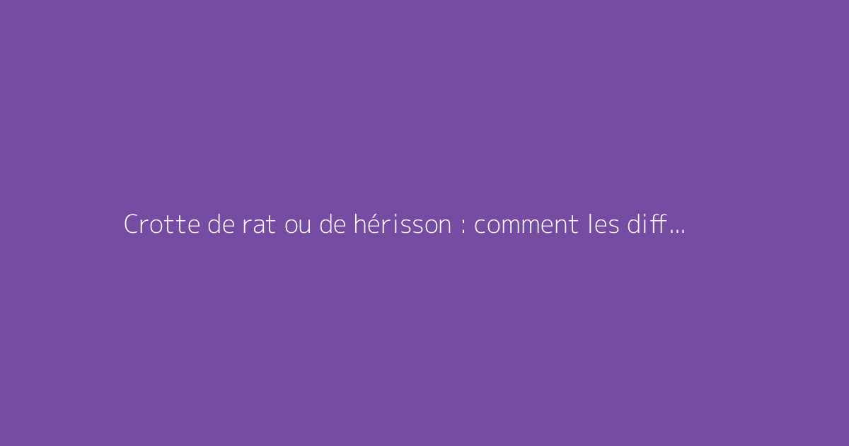 Crotte de rat ou de hérisson : comment les différencier