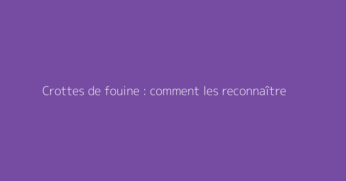 Crottes de fouine : comment les reconnaître