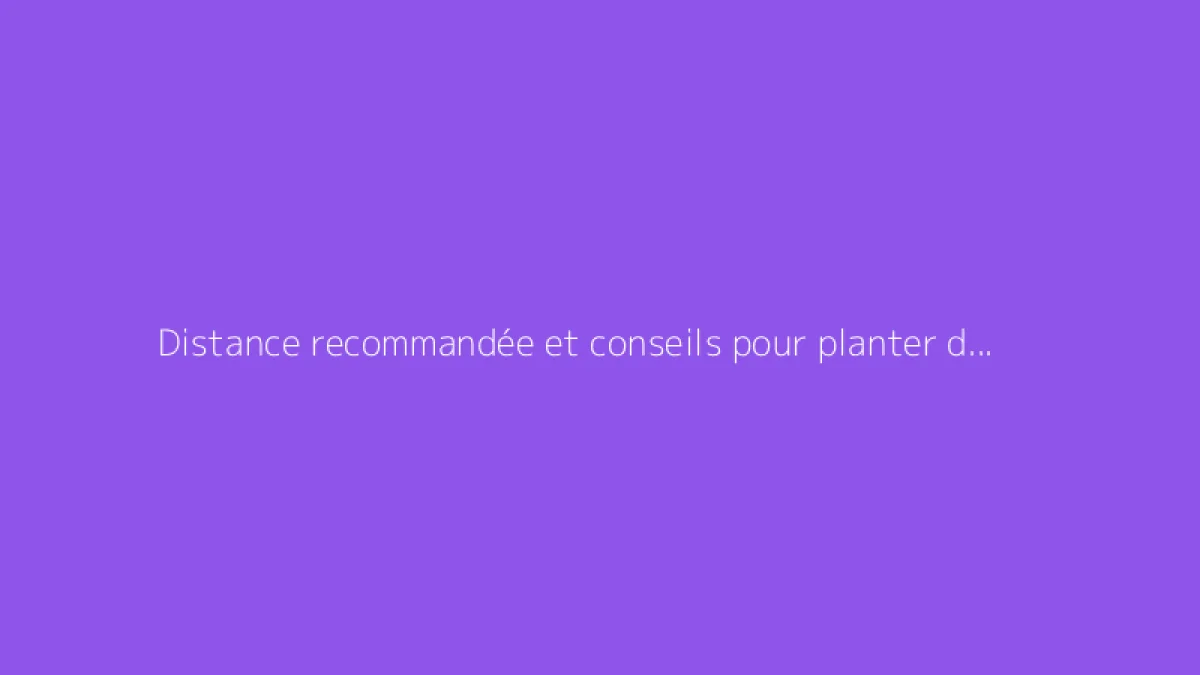 Distance recommandée et conseils pour planter des concombres