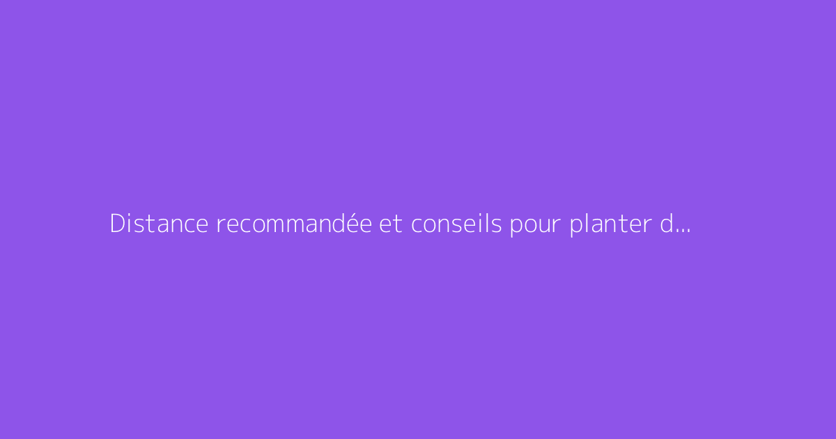 Distance recommandée et conseils pour planter des concombres