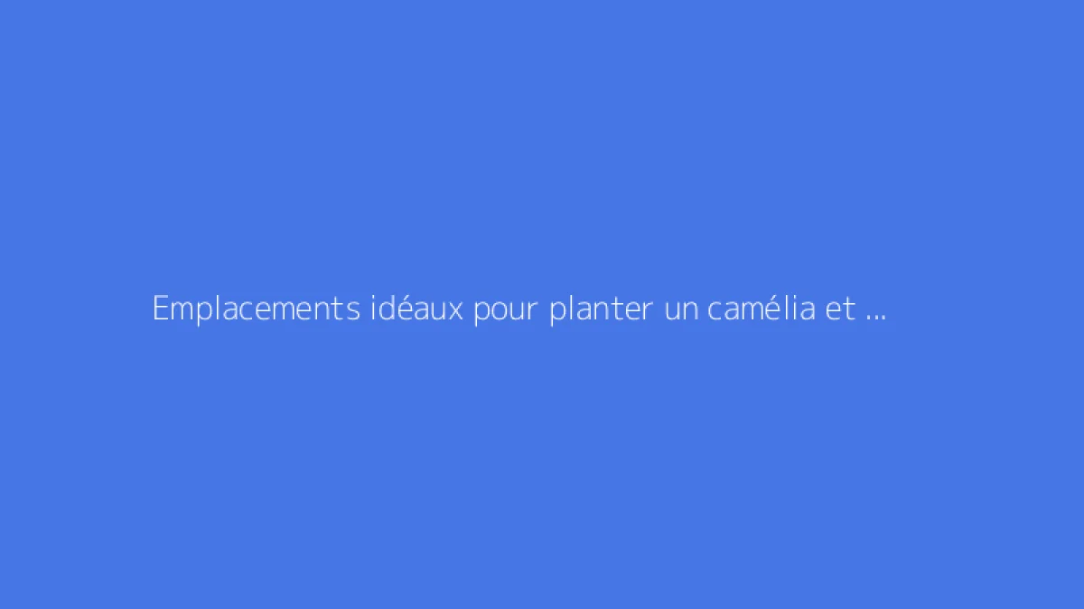Emplacements idéaux pour planter un camélia et favoriser sa floraison
