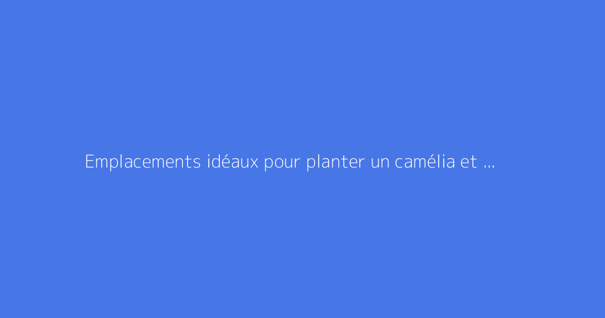 Emplacements idéaux pour planter un camélia et favoriser sa floraison