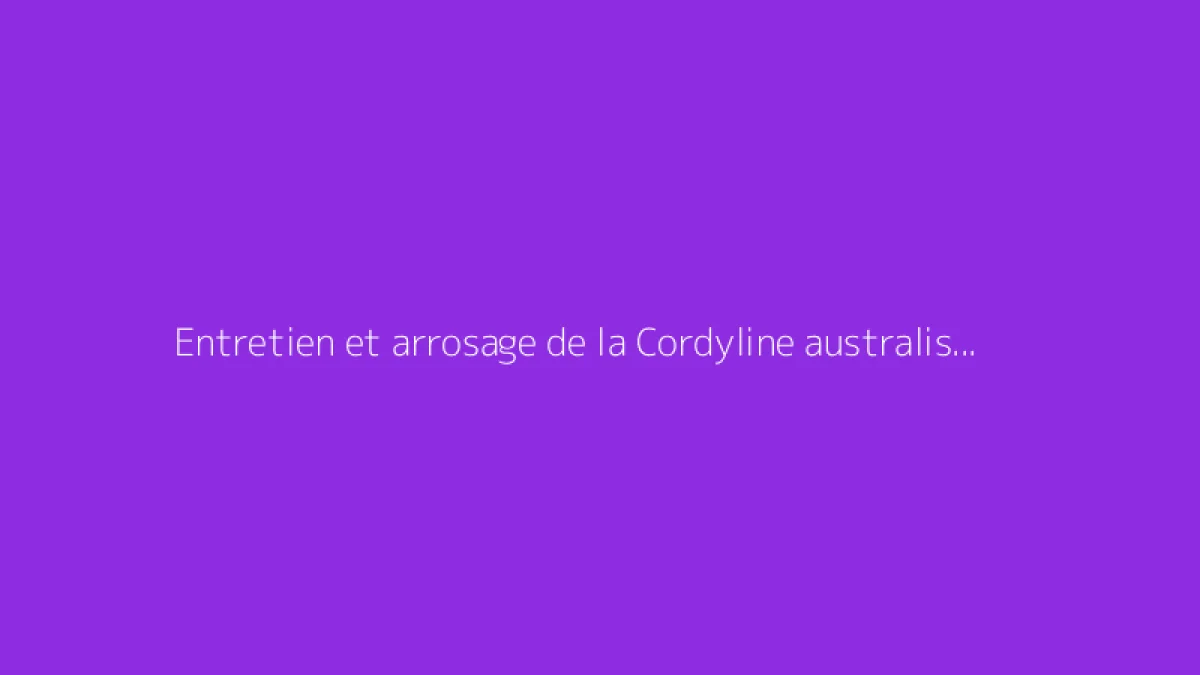 Entretien et arrosage de la Cordyline australis, protection contre le froid
