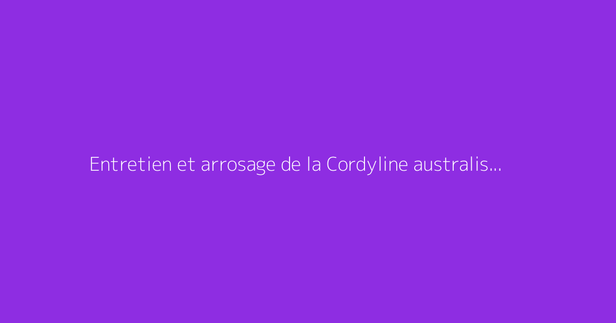 Entretien et arrosage de la Cordyline australis, protection contre le froid