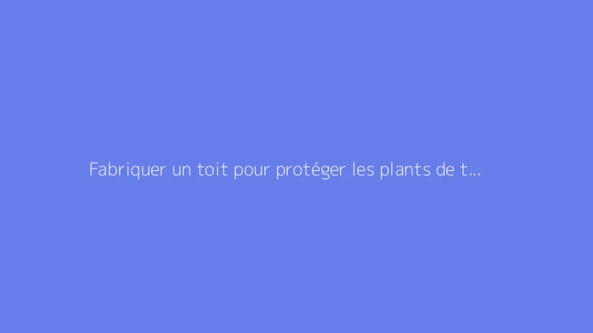 Fabriquer un toit pour protéger les plants de tomates : mode d’emploi