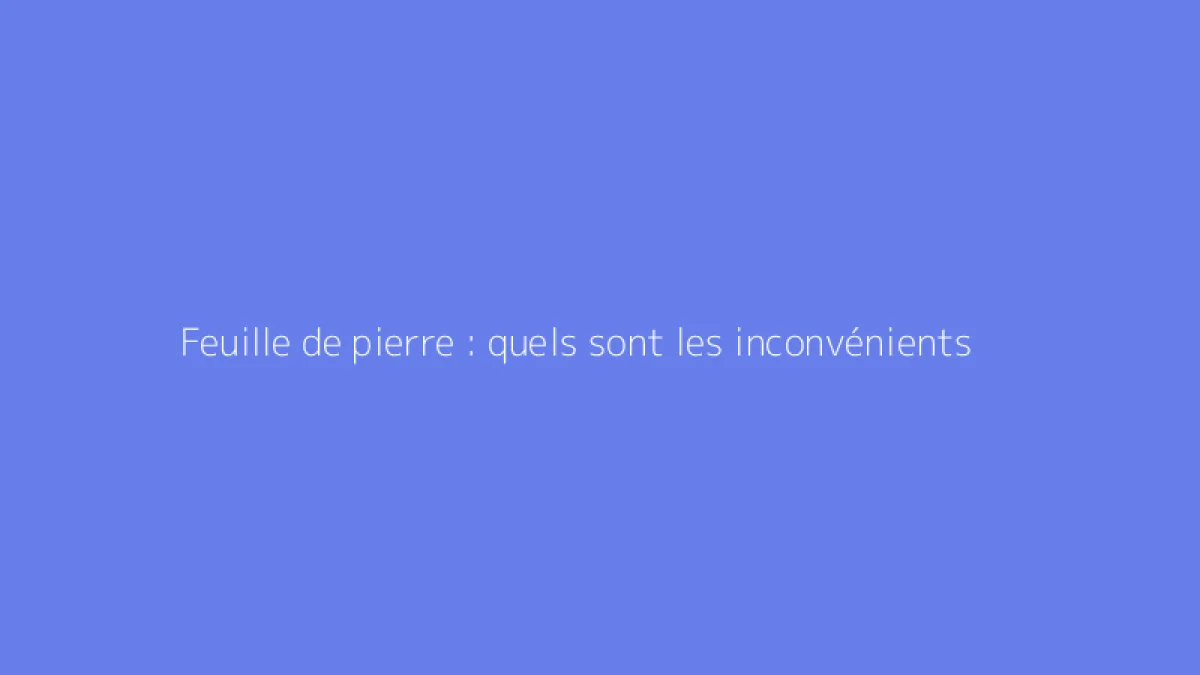 Feuille de pierre : quels sont les inconvénients