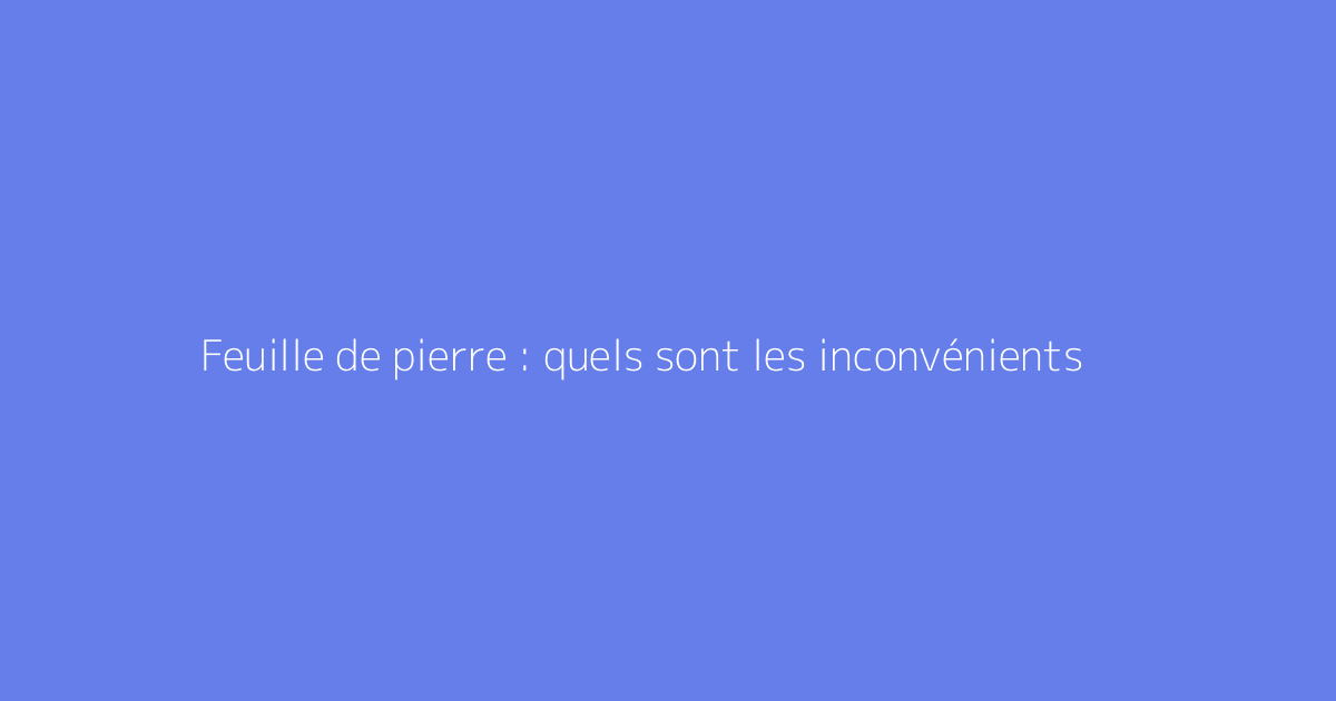 Feuille de pierre : quels sont les inconvénients