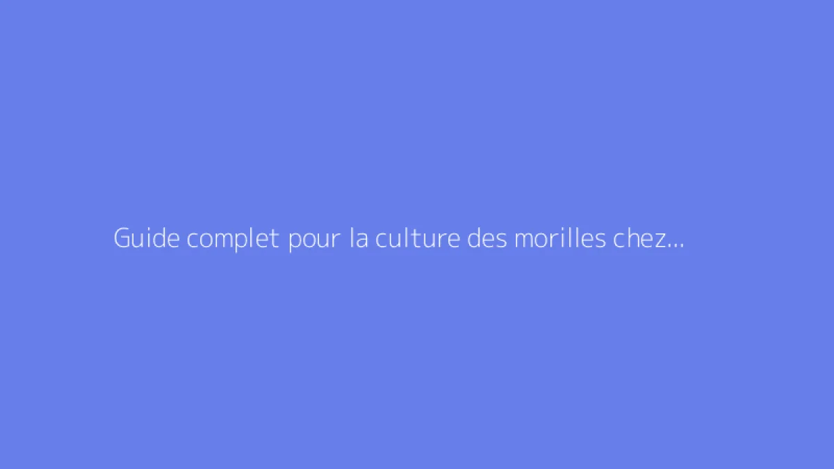 Guide complet pour la culture des morilles chez les particuliers