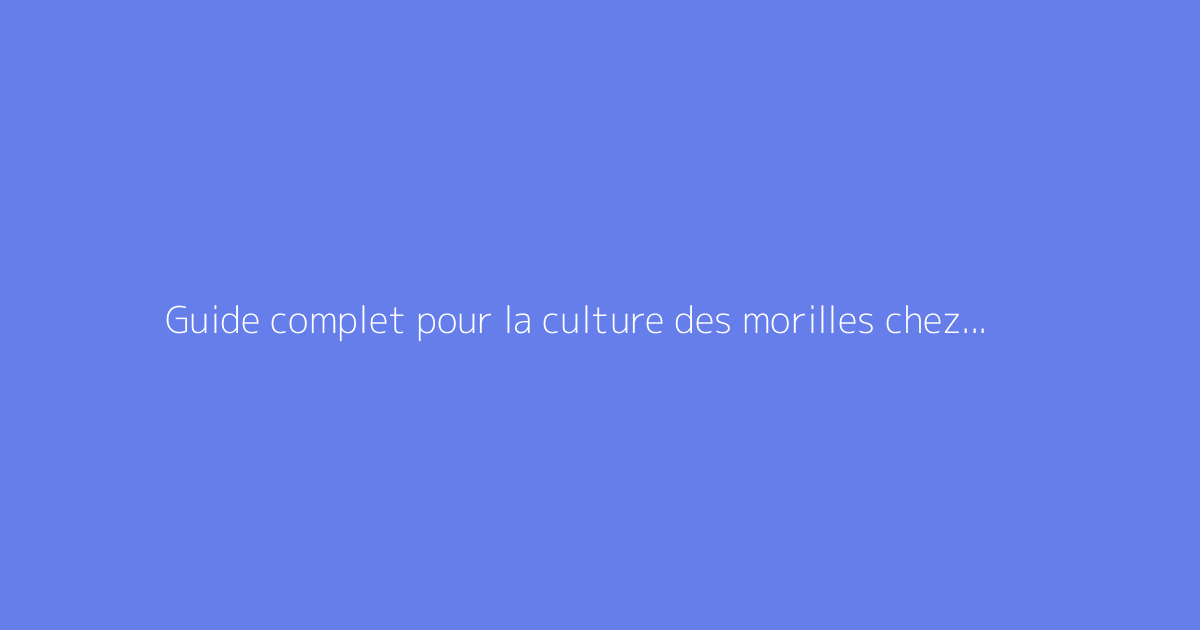 Guide complet pour la culture des morilles chez les particuliers