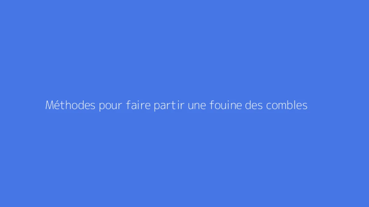 Méthodes pour faire partir une fouine des combles