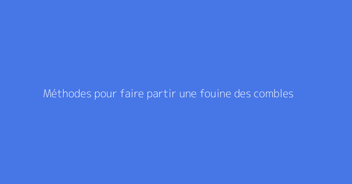 Méthodes pour faire partir une fouine des combles