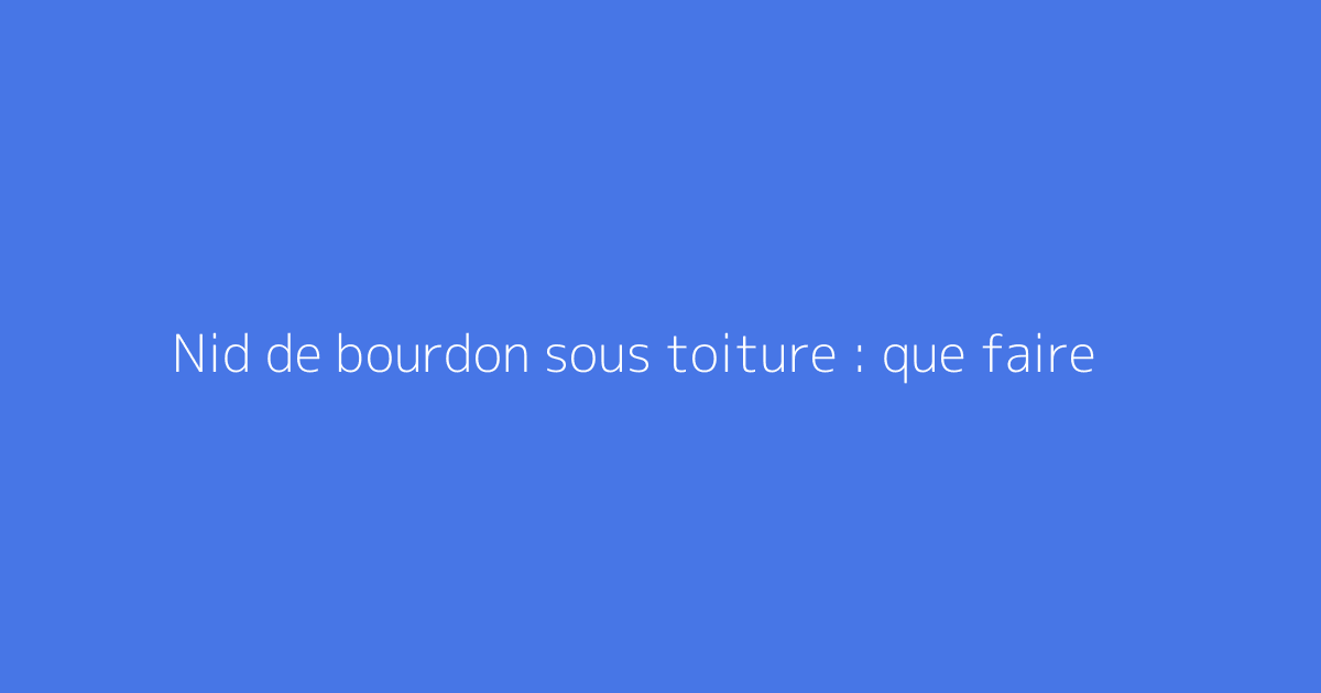 Nid de bourdon sous toiture : que faire