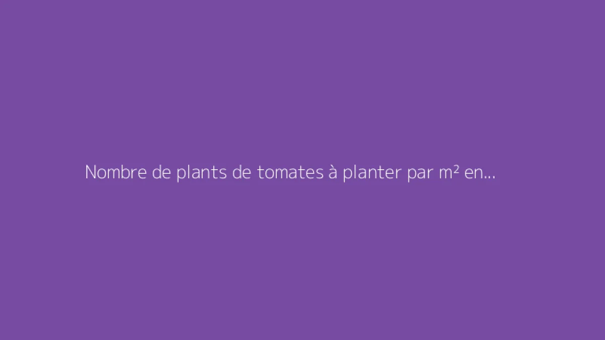 Nombre de plants de tomates à planter par m² en serre ou pleine terre