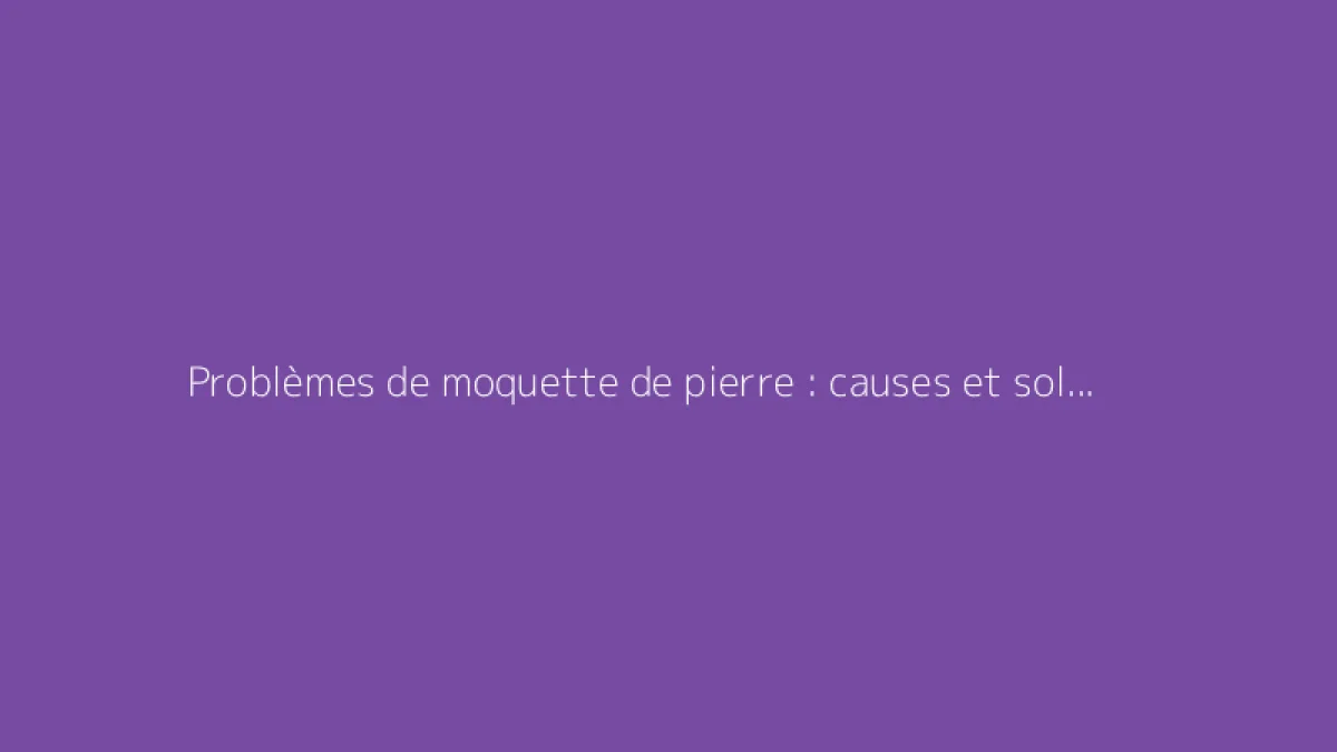 Problèmes de moquette de pierre : causes et solutions