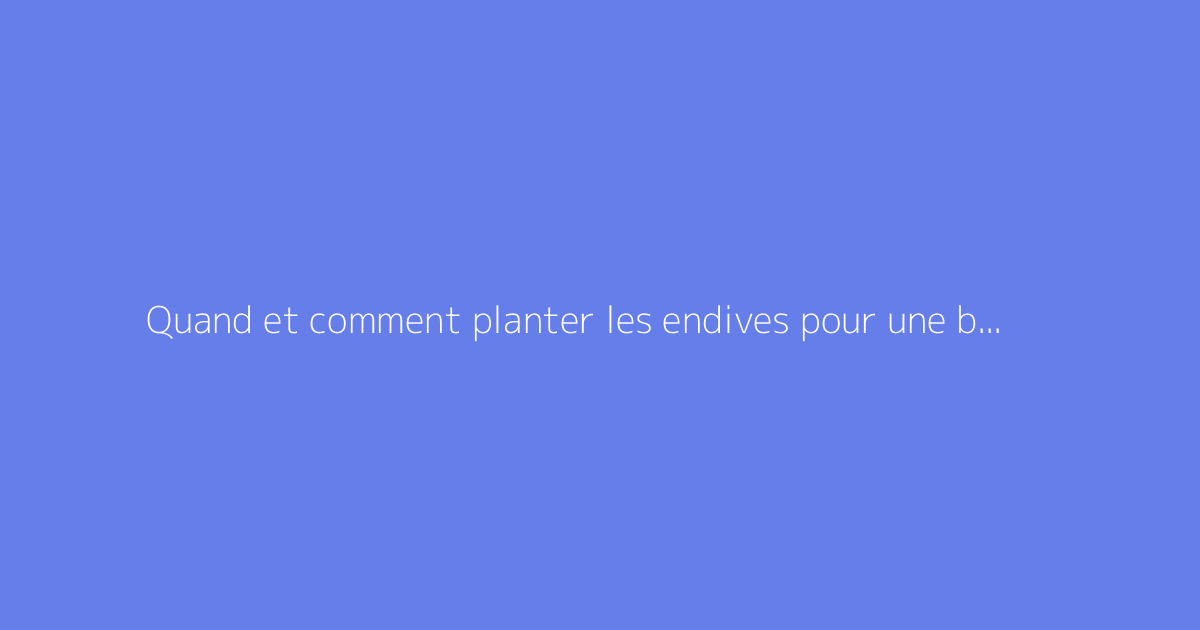 Quand et comment planter les endives pour une bonne récolte