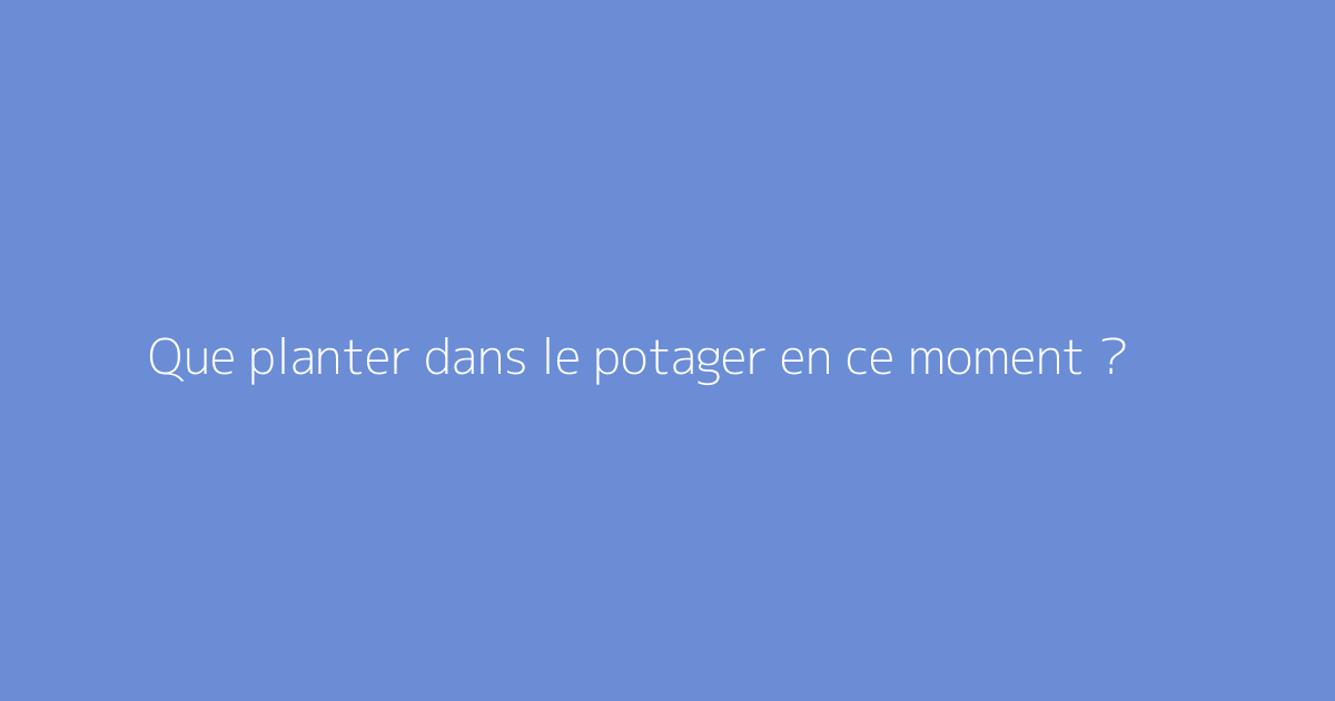 Que planter dans le potager en ce moment ?