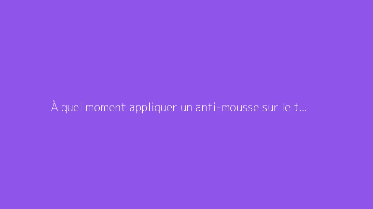 À quel moment appliquer un anti-mousse sur le toit avant la pluie ?