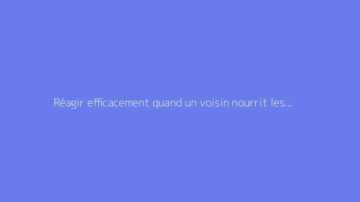 Réagir efficacement quand un voisin nourrit les pigeons chez lui