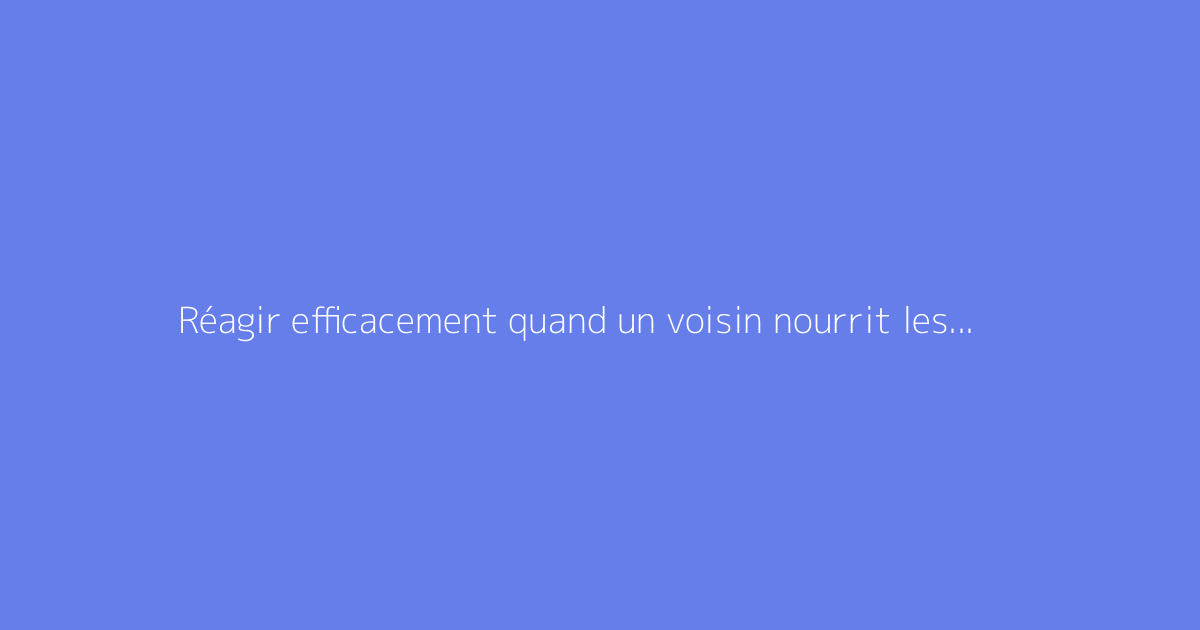Réagir efficacement quand un voisin nourrit les pigeons chez lui