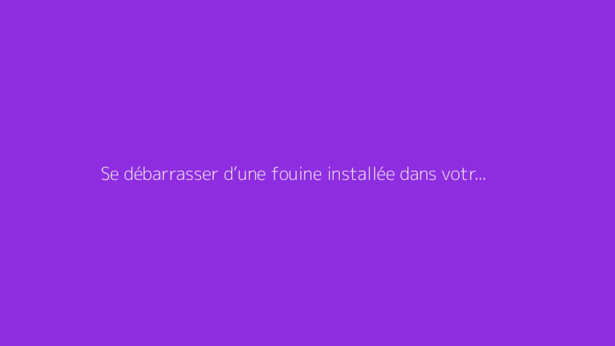 Se débarrasser d’une fouine installée dans votre toit : comment faire ?