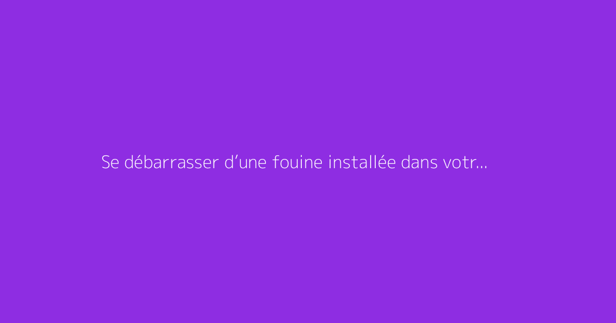 Se débarrasser d’une fouine installée dans votre toit : comment faire ?