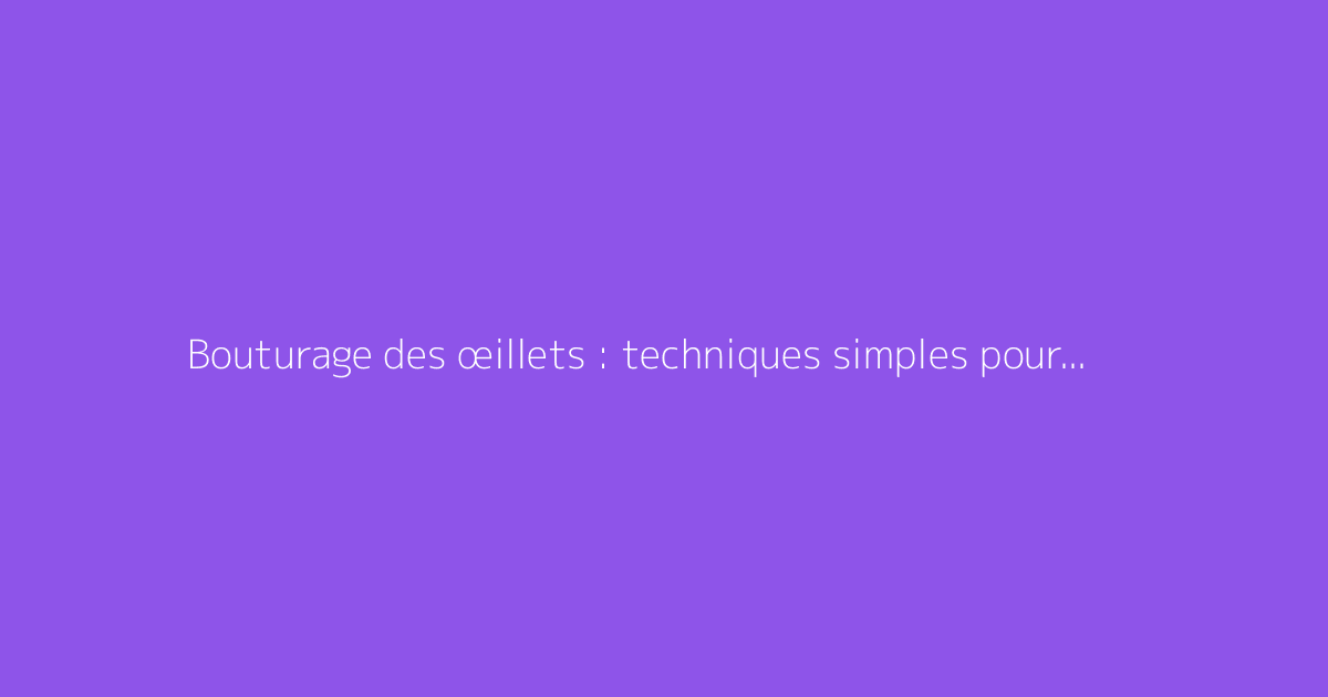 Bouturage des œillets : techniques simples pour réussir facilement
