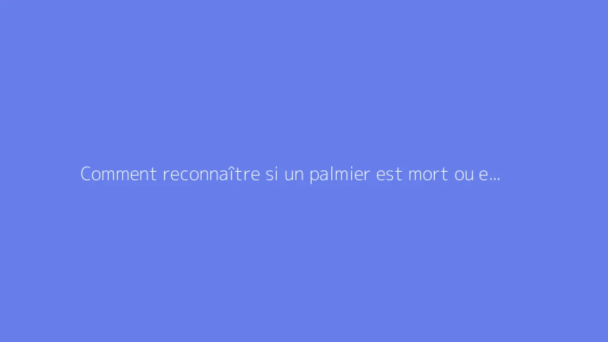 Comment reconnaître si un palmier est mort ou encore vivant