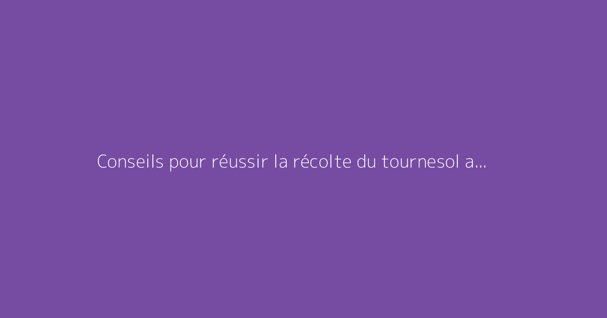 Conseils pour réussir la récolte du tournesol au bon moment
