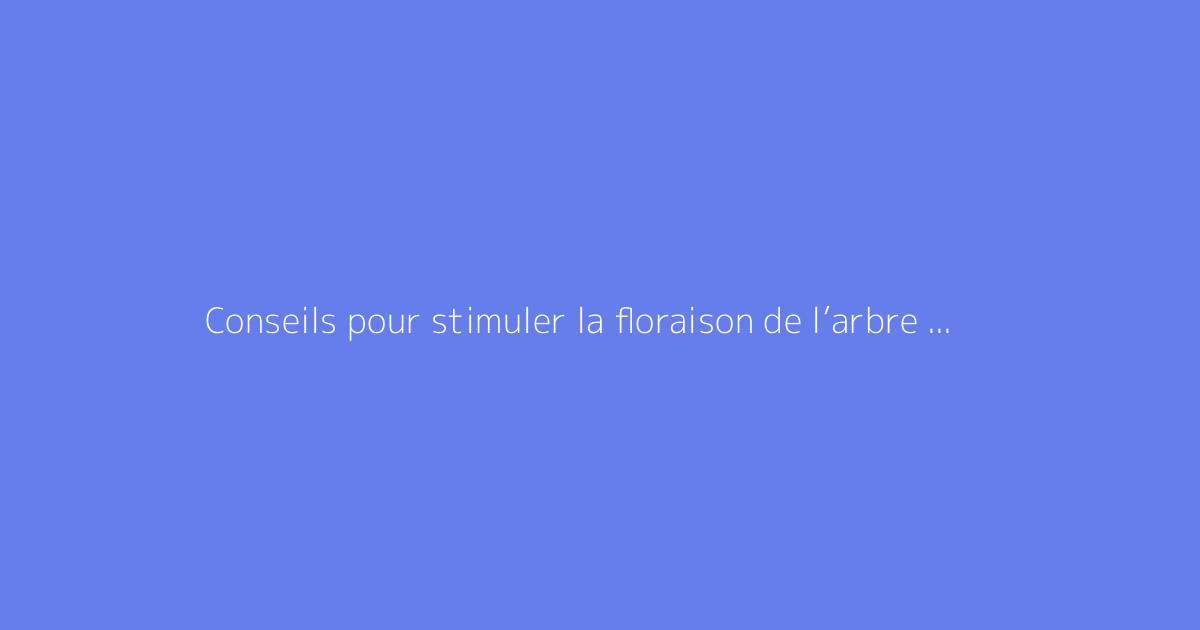 Conseils pour stimuler la floraison de l’arbre de jade