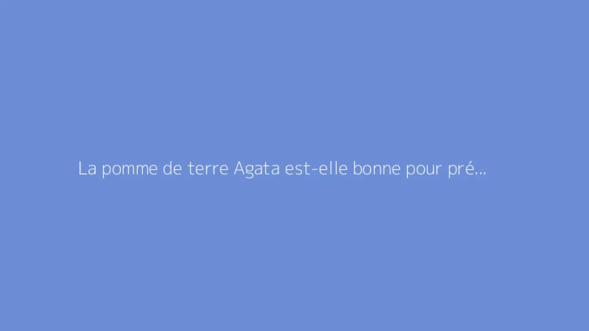 La pomme de terre Agata est-elle bonne pour préparer des frites ?