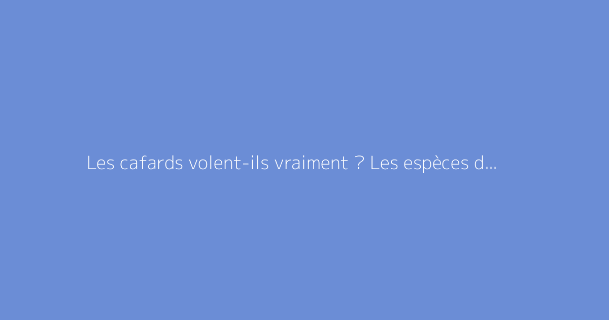 Les cafards volent-ils vraiment ? Les espèces dotées d’ailes expliquées