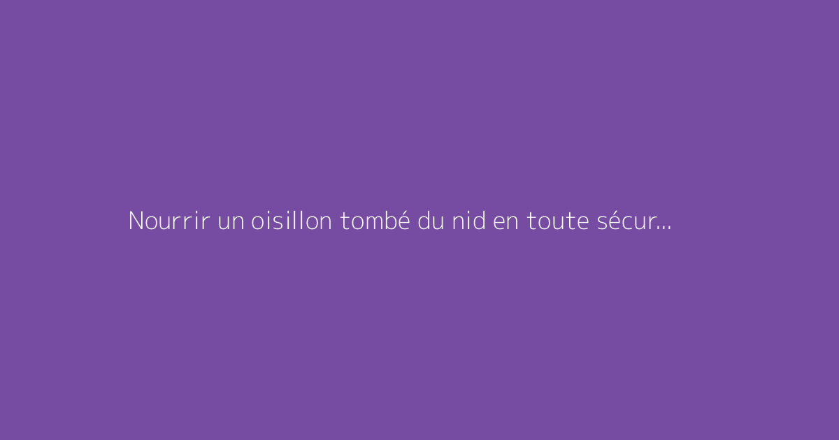 Nourrir un oisillon tombé du nid en toute sécurité : mode d'emploi