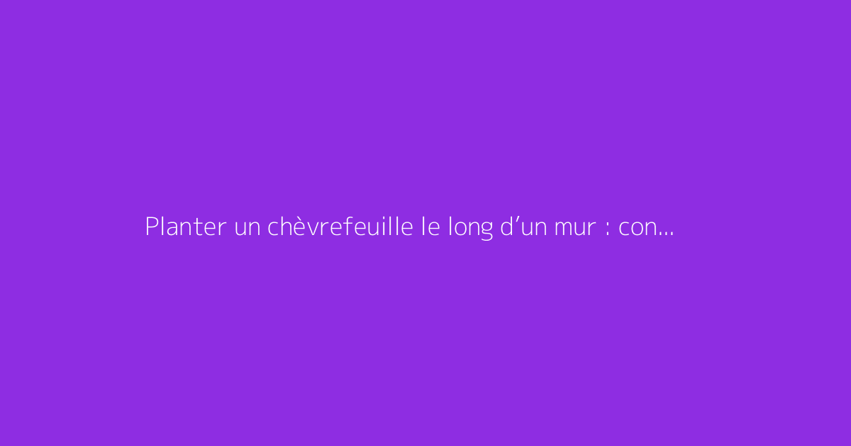Planter un chèvrefeuille le long d’un mur : conseils pratiques