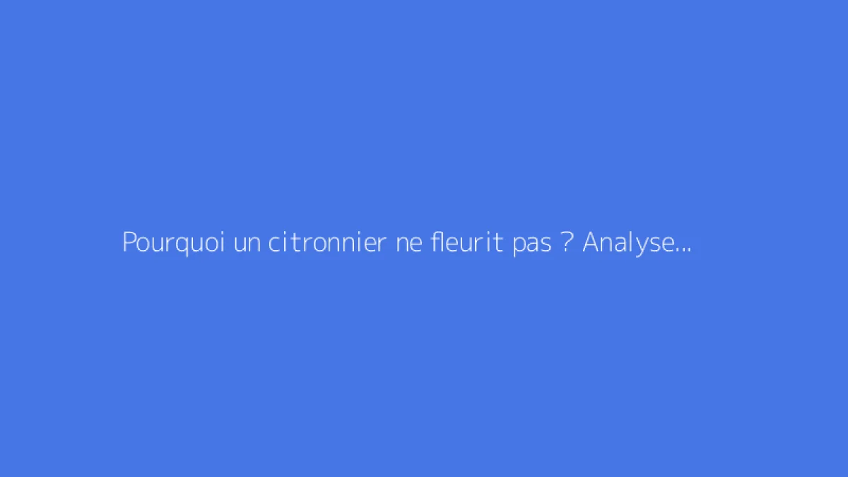 Pourquoi un citronnier ne fleurit pas ? Analyse des causes et solutions