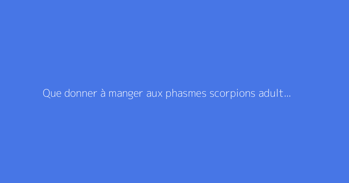 Que donner à manger aux phasmes scorpions adultes et jeunes ?