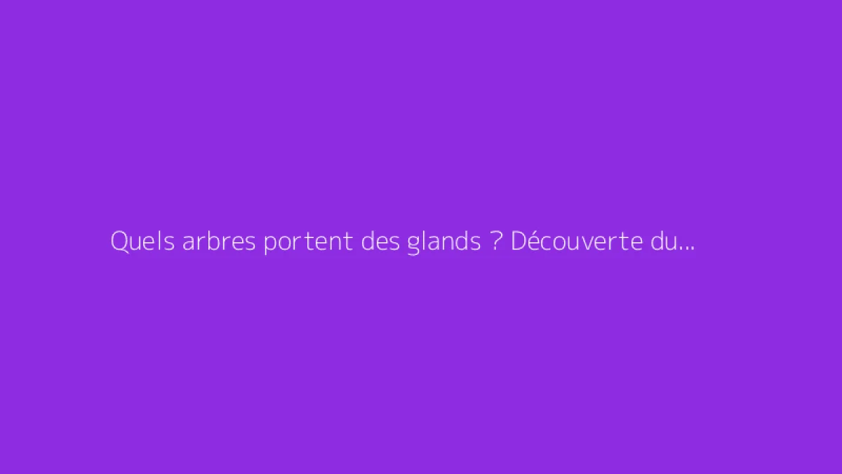 Quels arbres portent des glands ? Découverte du chêne