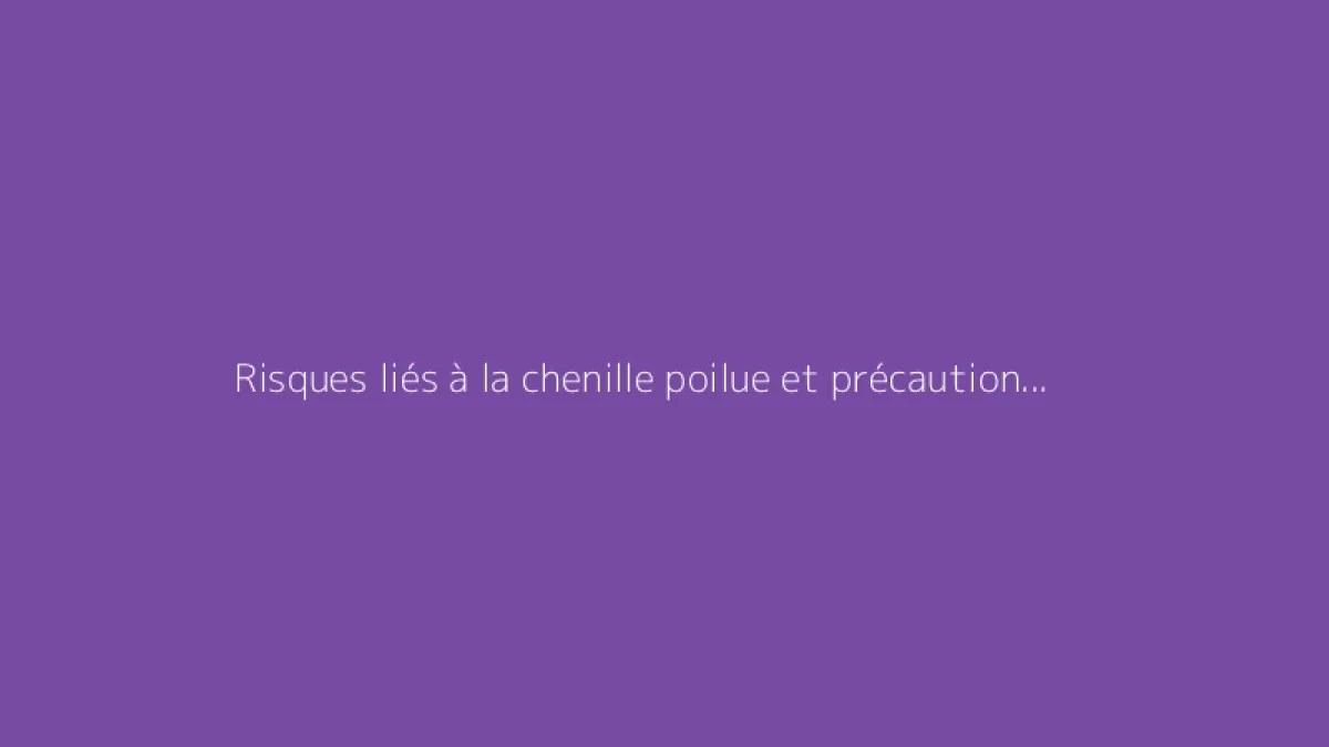 Risques liés à la chenille poilue et précautions recommandées