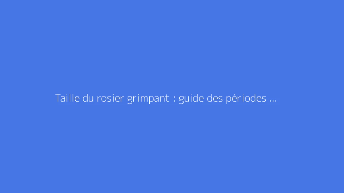 Taille du rosier grimpant : guide des périodes et techniques efficaces