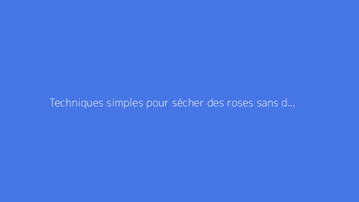 Techniques simples pour sécher des roses sans difficulté